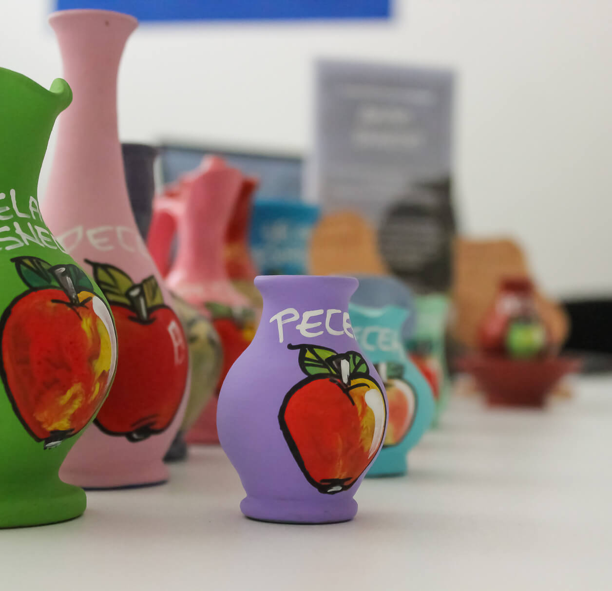 Промотивен штанд кој има цел да ја промовира и информира јавноста за потенцијалите на Преспа 